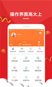 王中王一肖，解码背后的故事与魅力，王中王一肖，背后的故事与独特魅力解码