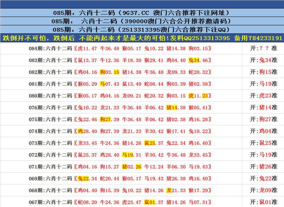 澳门正版资料免费更新——探索澳门正版的魅力与价值，澳门正版资料免费更新，探索澳门正版的独特魅力与价值