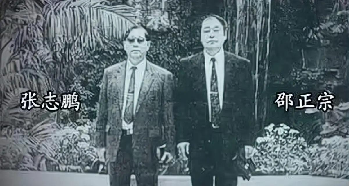 台湾间谍在大陆落网，透视事件背后的深意，台湾间谍大陆落网事件深度解析，透视背后的深意
