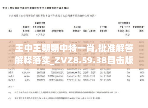 王中王一肖特网，探索与解析，王中王一肖特网深度探索与解析