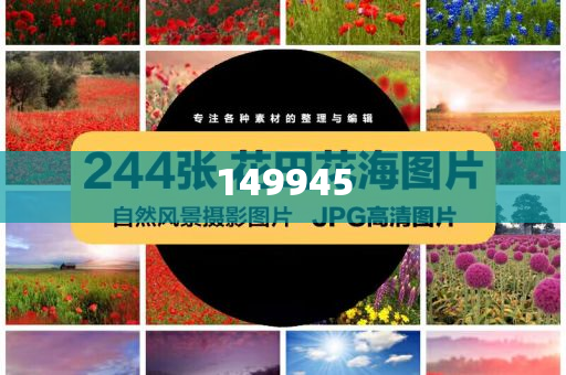 澳门正版精准免费——探索未来的机遇与挑战，澳门正版精准免费，未来机遇与挑战的探索
