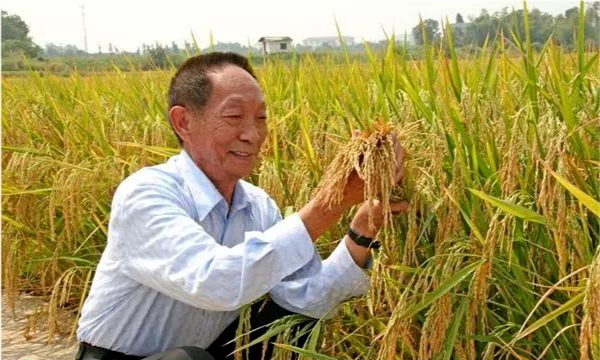 共和国勋章获得者可以享受的待遇，共和国勋章获得者享有的待遇，国家级荣誉的最高礼赞