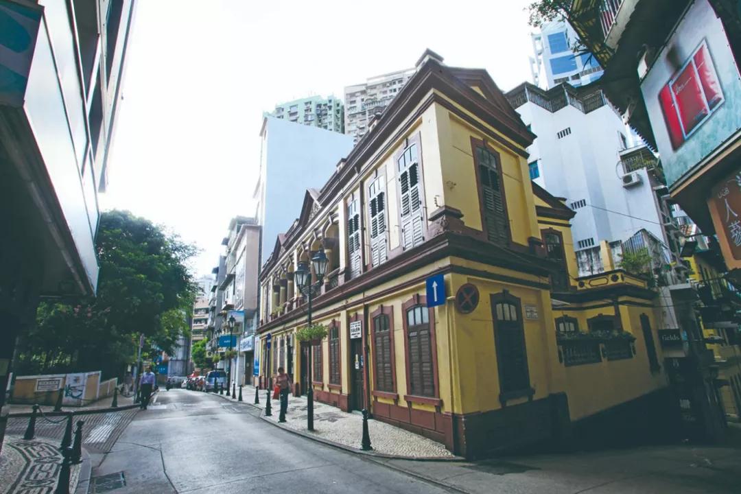 澳门8期必开一肖，揭秘生肖彩票的神秘面纱，澳门生肖彩票揭秘，8期必开一肖的神秘面纱