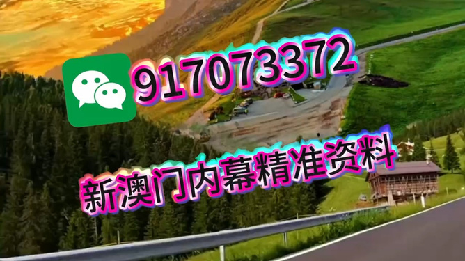 澳门王中王，一肖一马的传奇故事，澳门王中王，一肖一马的神秘传奇故事
