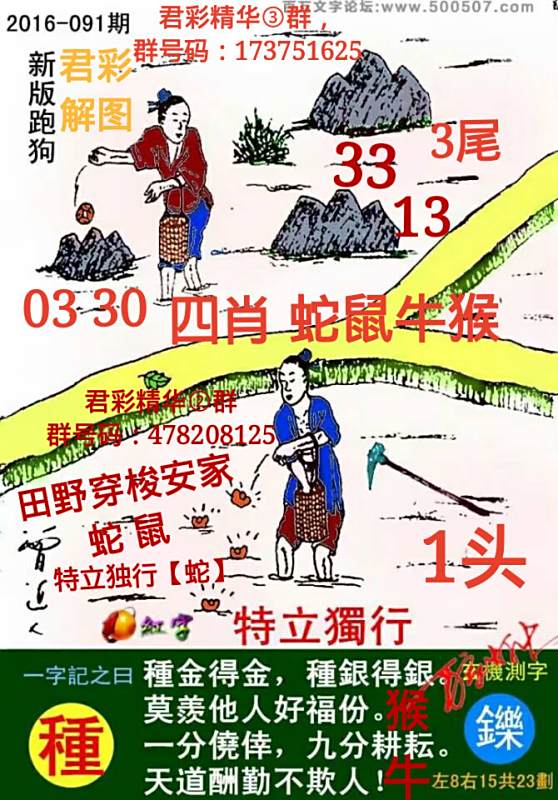 揭秘精准跑狗图，探索数字世界中的神秘77777与88888，揭秘精准跑狗图，神秘数字77777与88888背后的秘密探索