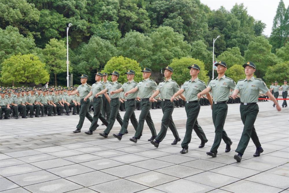 军事综合信息网组织结构研究，军事综合信息网组织结构深度研究