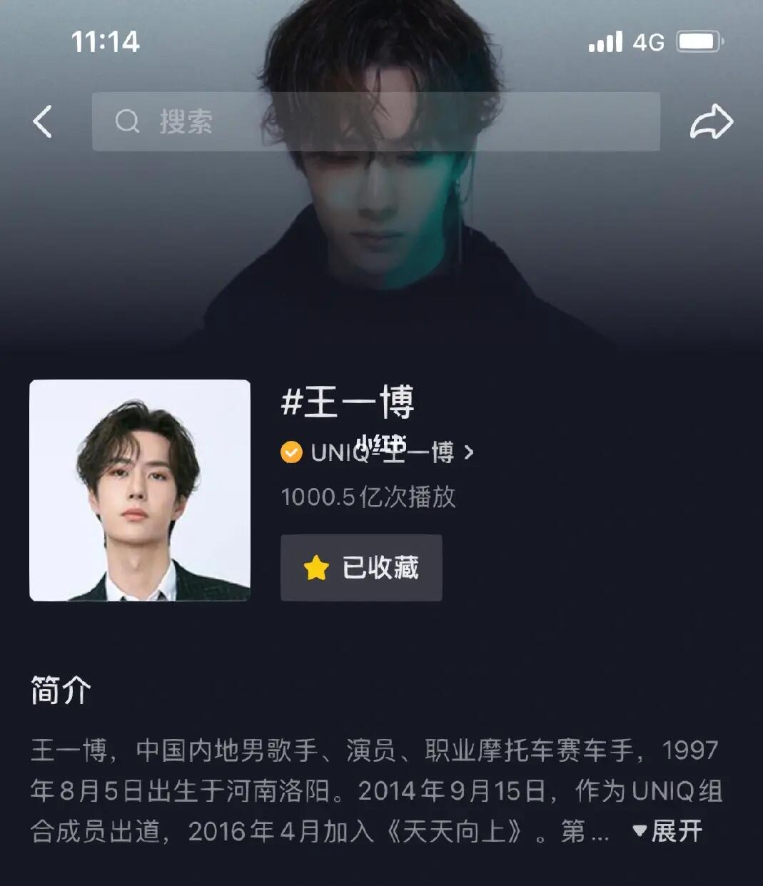 探索王中王一肖中特，一种独特的文化现象，王中王一肖中特，独特的文化现象探索