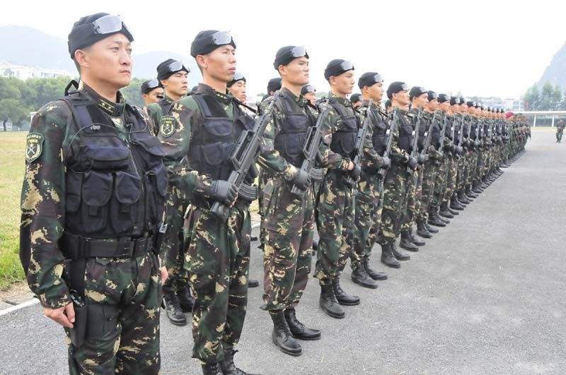 武警与陆军的区别，职责、任务与特色的差异探讨，武警与陆军职责、任务与特色差异探讨，两大军种的区别解析
