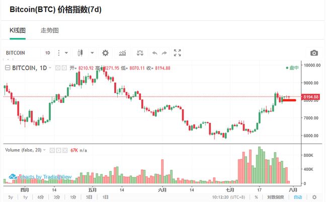 王中王资科一肖中持天，探索与突破的力量，王中王资科一肖持天，探索与突破的力量
