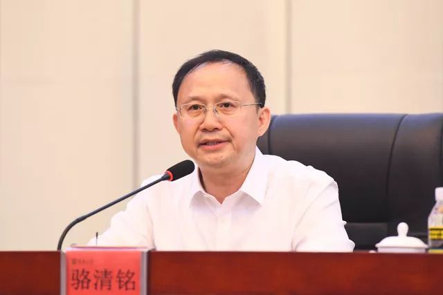 青塔网，连接未来与现实的桥梁，青塔网，连接未来与现实的桥梁平台