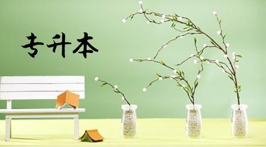 大专当兵两年回来专升本，探索军旅生涯与学历提升的双赢之路，大专当兵两年归来，实现军旅与学历双赢之路的专升本探索