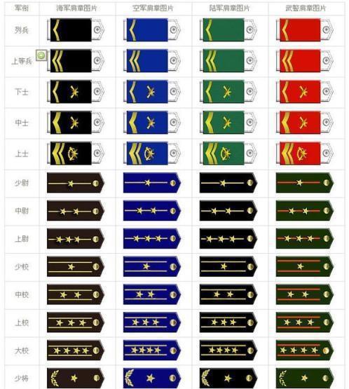简介/概述