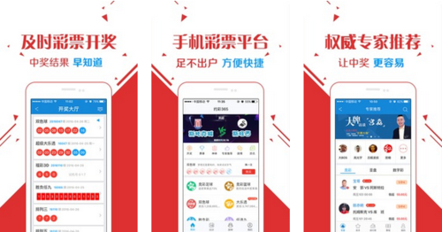 王中王玄机平特一肖中特，探索命运之轮的秘密，命运之轮的秘密探索，王中王玄机与特肖中特
