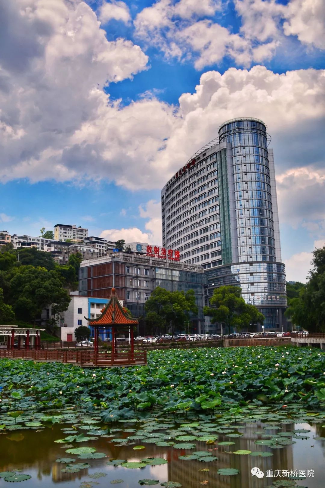 第三军医大学招生条件详解，第三军医大学招生条件全面解析