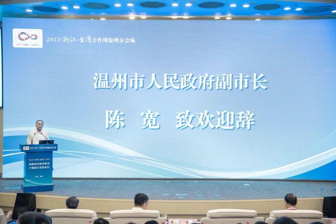 海峡两岸的盼望，共筑未来之梦，海峡两岸共筑未来之梦，盼望与愿景的融合