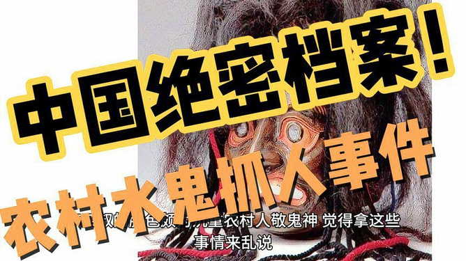 2025年概览