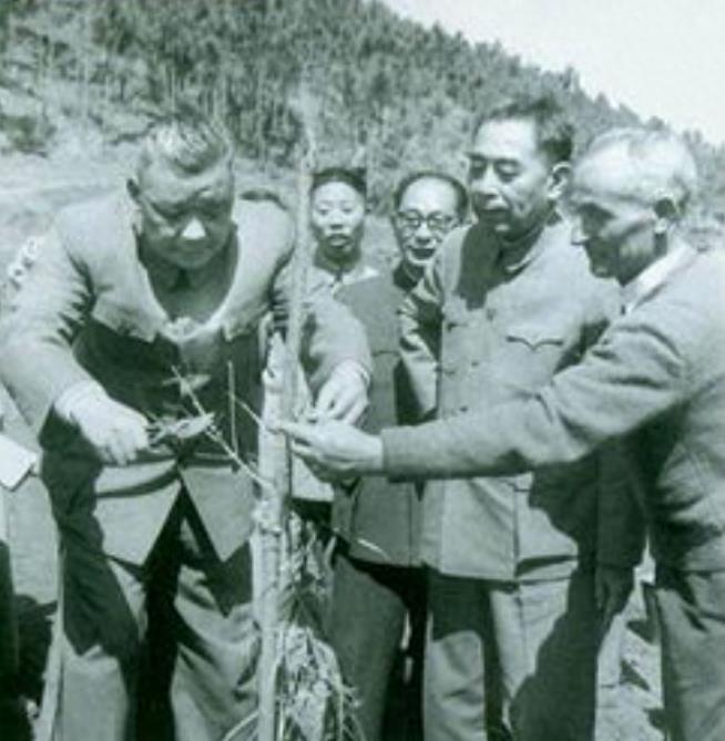 云南民国上将名单及其历史贡献，云南民国上将名单及其历史贡献概览