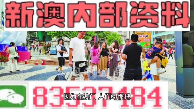 澳门正版精准免费大全——探索澳门的文化与资源，澳门文化与资源大全，正版精准免费探索之旅