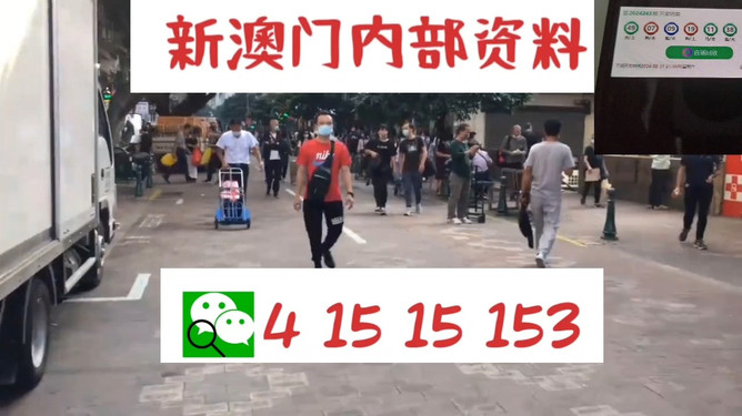 澳门管家婆100中，探索数字世界的奥秘与魅力，澳门管家婆数字世界的奥秘与魅力探索