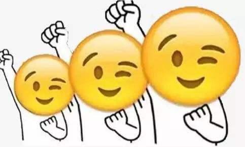 一肖二吗，探究背后的含义与现象，一肖二码，背后的含义与现象探究