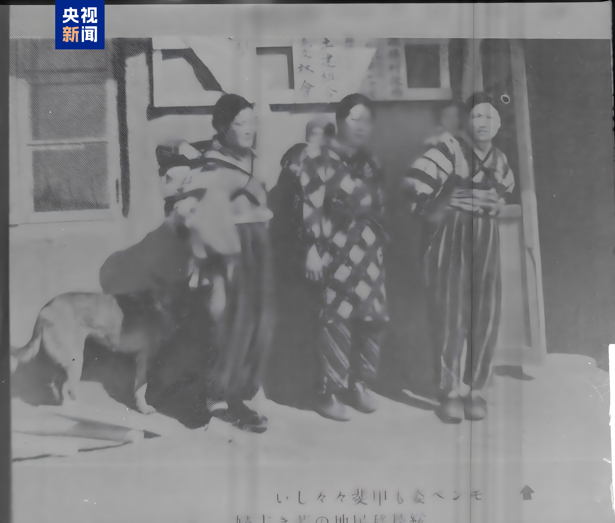 日本人现在想要在中国落户移民的趋势与动因分析，日本人在中国的落户移民趋势及动因分析