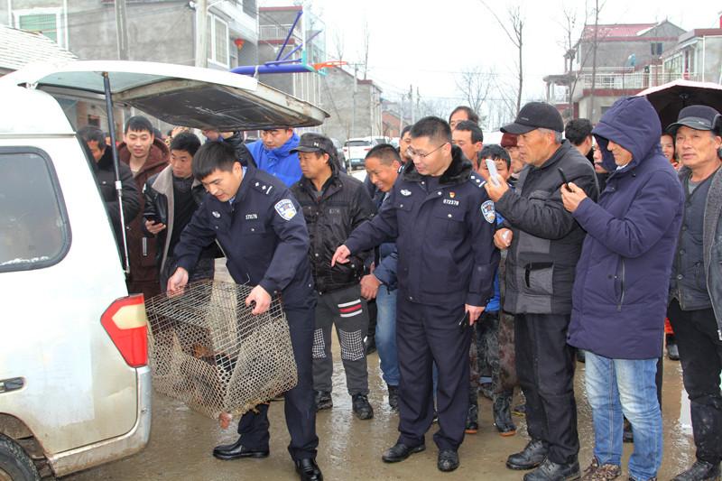 国庆阅兵中的群众方阵，数量与意义，国庆阅兵群众方阵，数量彰显力量，意义铸就辉煌