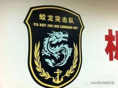 蛟龙突击队臂章矢量图，荣耀的象征与战术的精准，蛟龙突击队臂章矢量图，荣耀与战术的完美结合