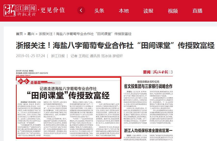 联合早报即时报道南略网手机版——新闻前沿的动态与便捷体验，联合早报南略网手机版，新闻前沿动态与便捷体验即时报道