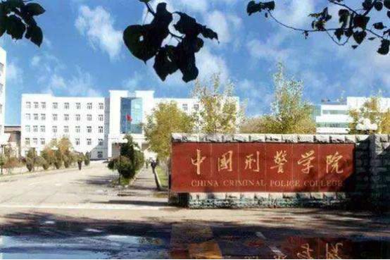 刑警学院与985高校，孰强孰弱之探讨，刑警学院与985高校，孰强孰弱深度探讨