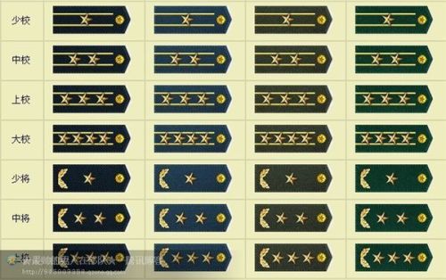 中国的军衔胸标等级及标志，中国军衔胸标等级及标志详解