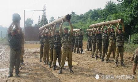 全面深度解析