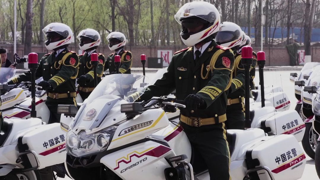 北京武警总队国宾护卫队，荣耀与担当的象征，北京武警总队国宾护卫队，荣耀与担当的典范