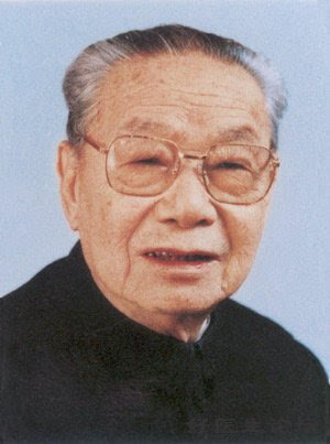 外交部副部长及其职责与数量解析，外交部副部长职责解析及数量概览