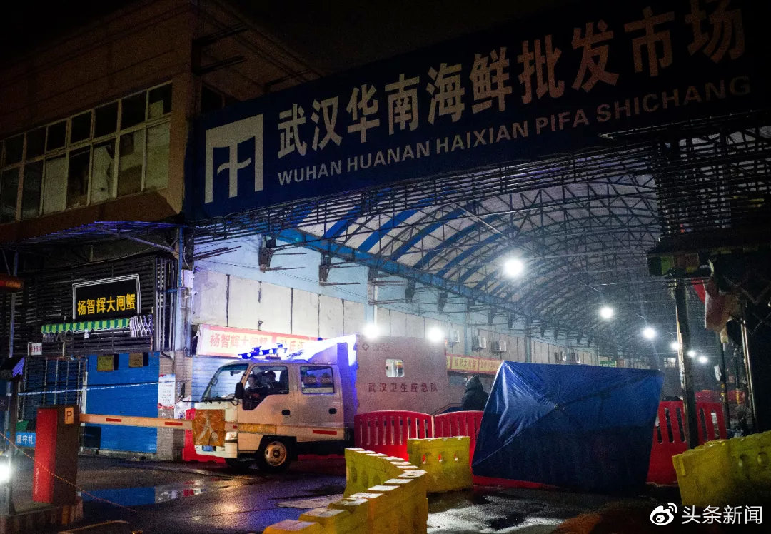武汉华南海鲜市场，一座城市的活力之源与市场魅力，武汉华南海鲜市场，城市活力与市场魅力的交汇点