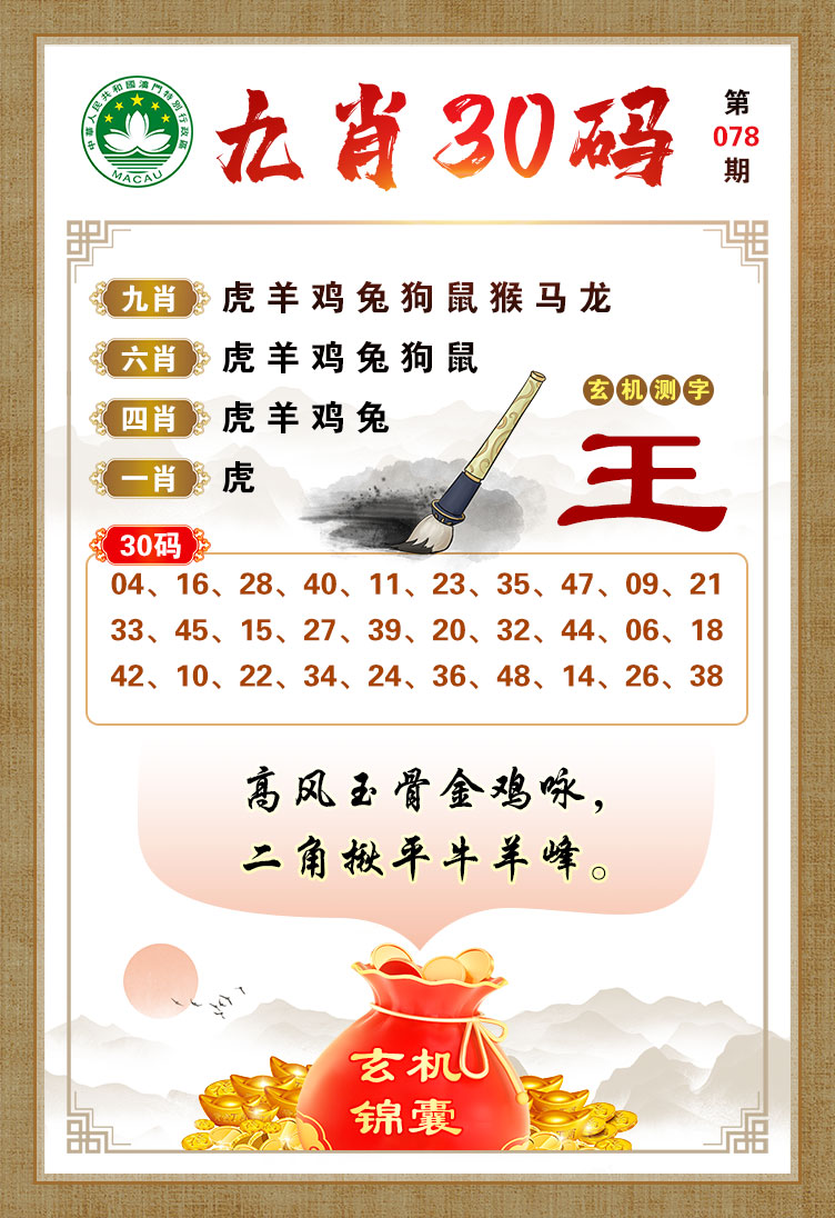 王中王马一肖，探寻传奇背后的故事，王中王马一肖，探寻传奇背后的故事揭秘