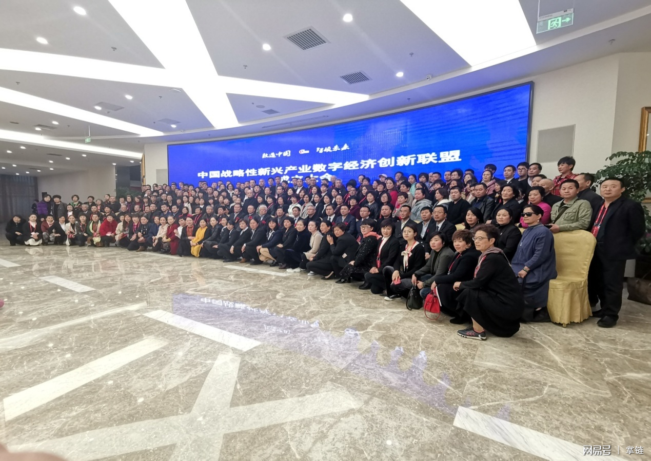 中国战略新兴产业联盟成立，共筑未来产业新篇章，中国战略新兴产业联盟成立，携手共筑未来产业新篇章