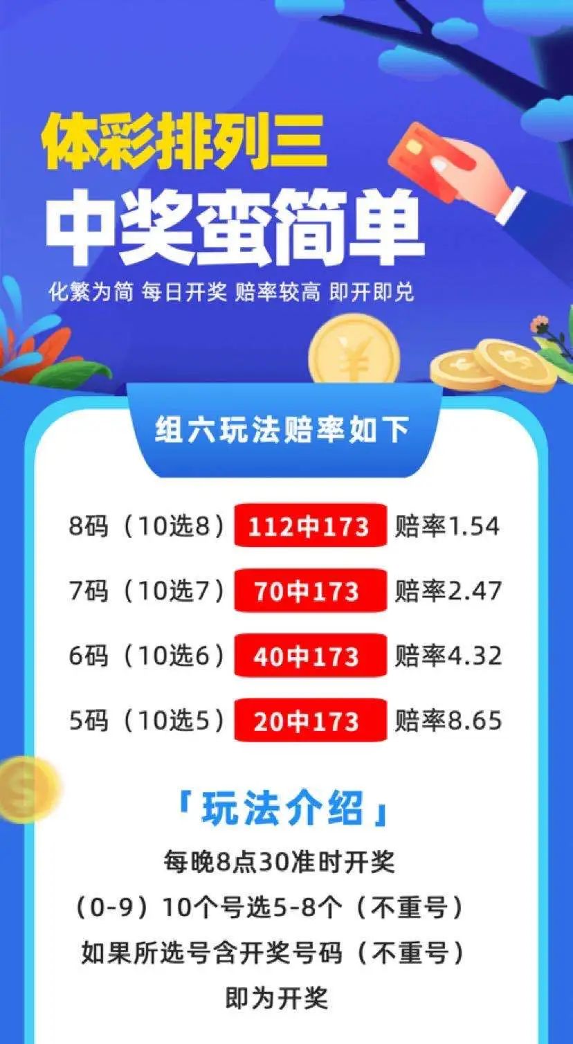 中三肖赔付多少，深度解析与探讨，中三肖赔付深度解析与探讨指南