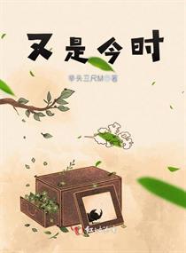 今日今时的独特韵味与机遇，今日今时的魅力与机遇探索