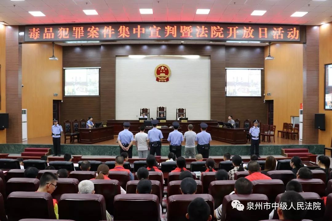 福建泉州案，深度探究与反思，福建泉州案深度探究与反思，背后的故事与启示
