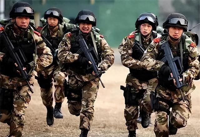 武警改革后剩余兵种概览，武警改革后剩余兵种概览，概览与解析