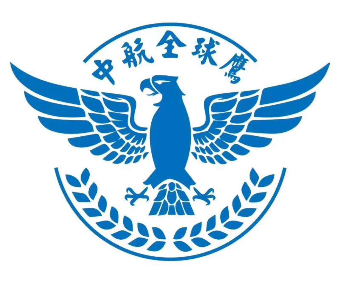 全球鹰营销系统，引领智能营销新时代的先锋力量，全球鹰营销系统，智能营销新时代的先锋领航者