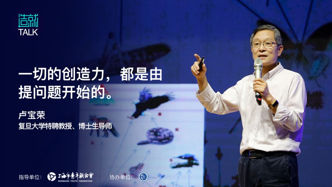 卢宝明的籍贯之谜，探寻一个人的根与魂，卢宝明籍贯之谜，探寻个人根魂之旅