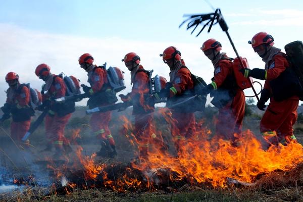 新疆军区总兵力概况，新疆军区总兵力概况简介