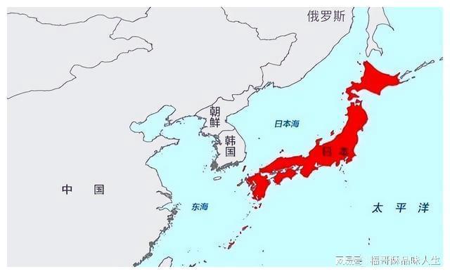 日本与中国，探寻优势与差异，中日优势与差异深度探寻