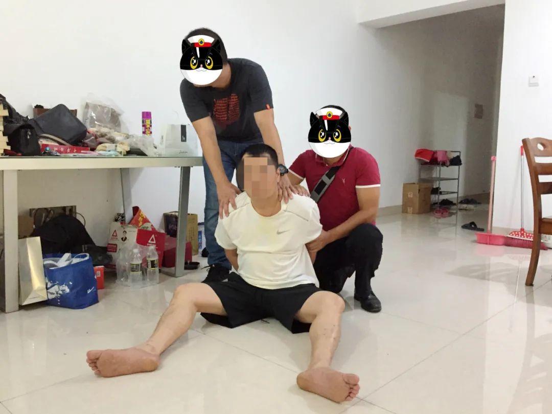 海南战役历史背景分析，海南战役历史背景深度解析