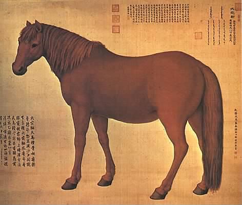 中国派到国外的兵，历史、现状及其意义，中国派遣海外兵的历史、现状与意义分析
