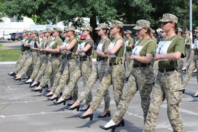 陆军女兵与高跟鞋，一种军事装备的探讨，陆军女兵与高跟鞋，军事装备的深度解析