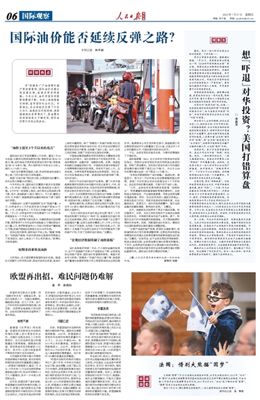 国际观察与旗扬网，连接全球视野与本土实践，全球视野与本土实践，国际观察与旗扬网的连接纽带