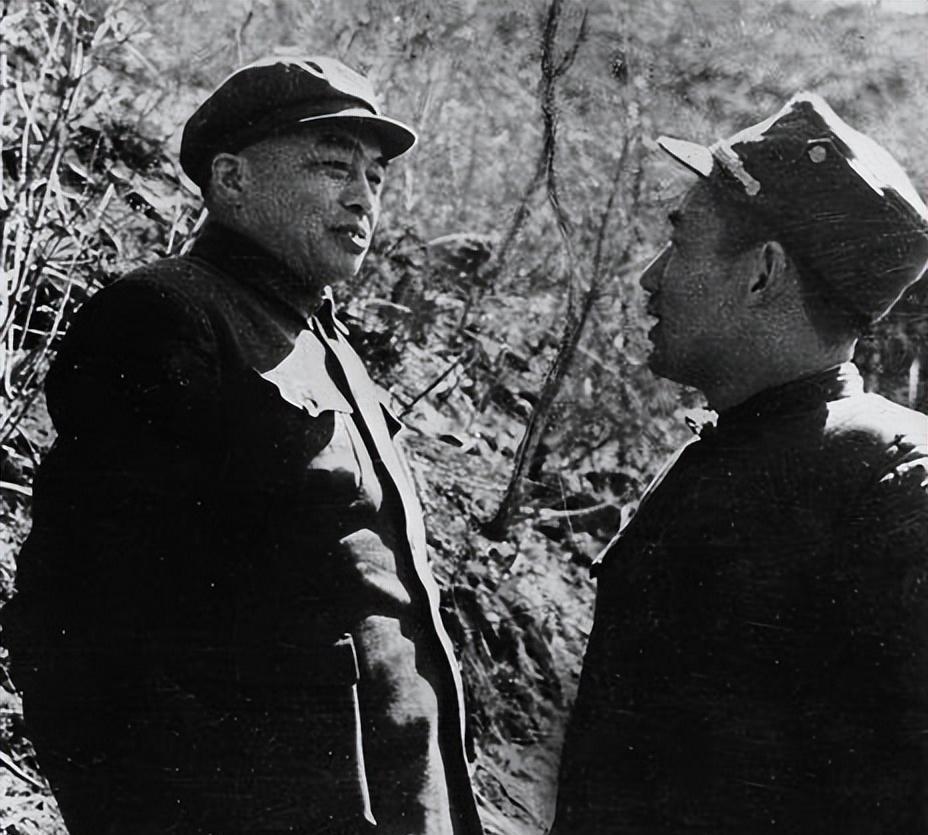 中国军队番号，历史沿革与现代发展，中国军队番号，历史沿革与现代发展概览