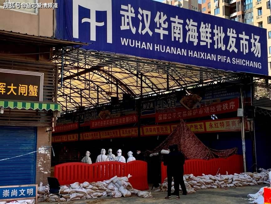 华南海鲜市场一号病人的故事与疫情启示，华南海鲜市场一号病人的故事，疫情启示与反思